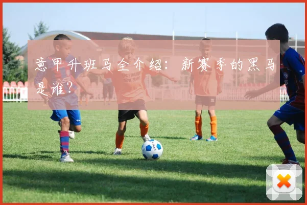 意甲升班马全介绍：新赛季的黑马是谁？